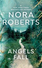 Cover art for Angels Fall