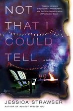 Cover art for Not That I Could Tell: A Novel