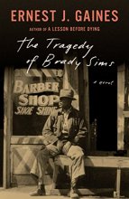Cover art for The Tragedy of Brady Sims (Vintage Contemporaries)