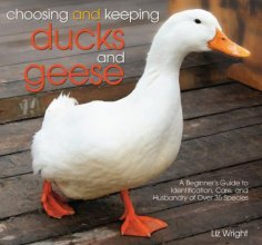 Cover art for Choosing and Keeping Ducks and Geese: A Beginner's Guide to Identification, Care, and Husbandry of over 35 Species