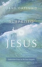 Cover art for Surprised by Jesus: Subversive Grace in the Four Gospels