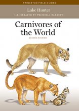 Cover art for Carnivores of the World: Second Edition (Princeton Field Guides, 117)