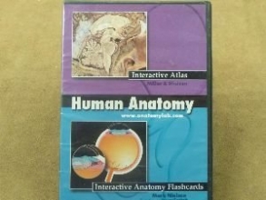 Cover art for Human Anatomy Interactive Atlas/Interactive Lectures Flashcards on CD