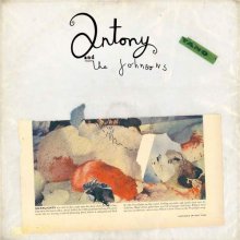 Cover art for Swanlights